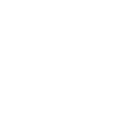 Icono auto